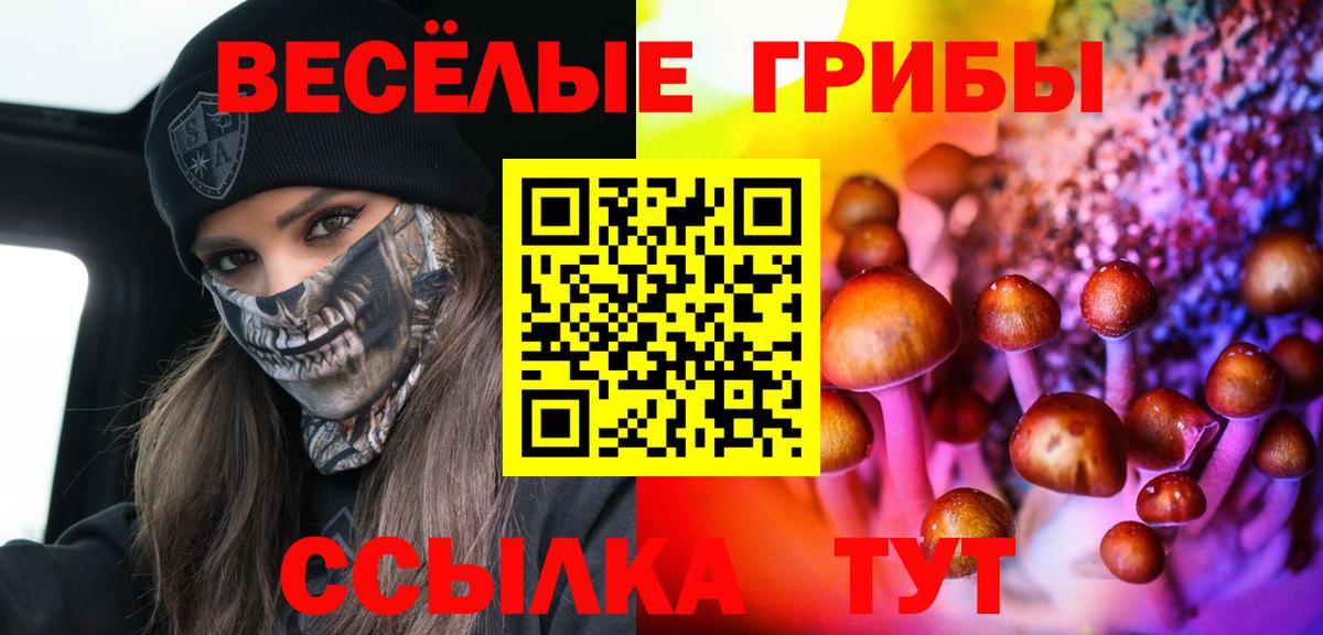 Псилоцибиновые грибы Magic Shrooms  Псилоцибиновые грибы Psilocybine cubensis  Вход с VPN  Севастополь 